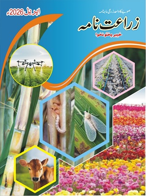 Zarat Nama April 2026